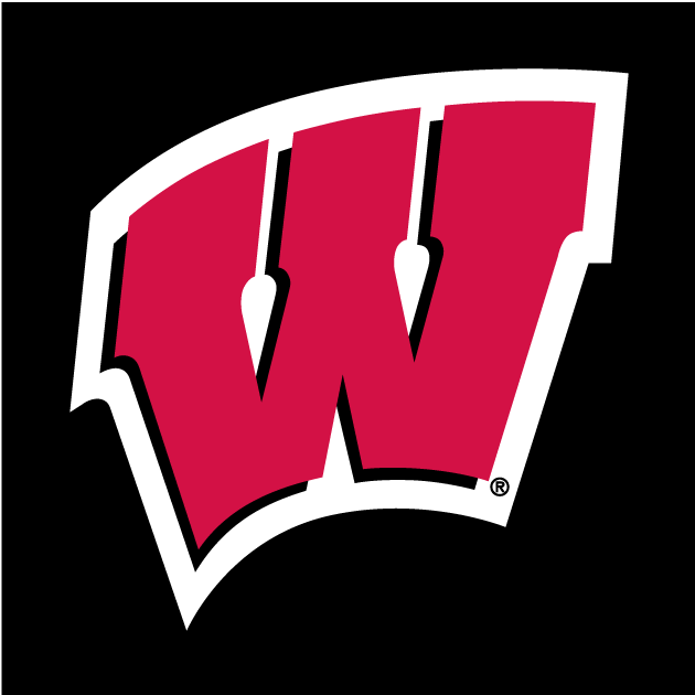 Wisconsin Badgers 1991-Pres Alternate Logo v2 diy fabric transfer